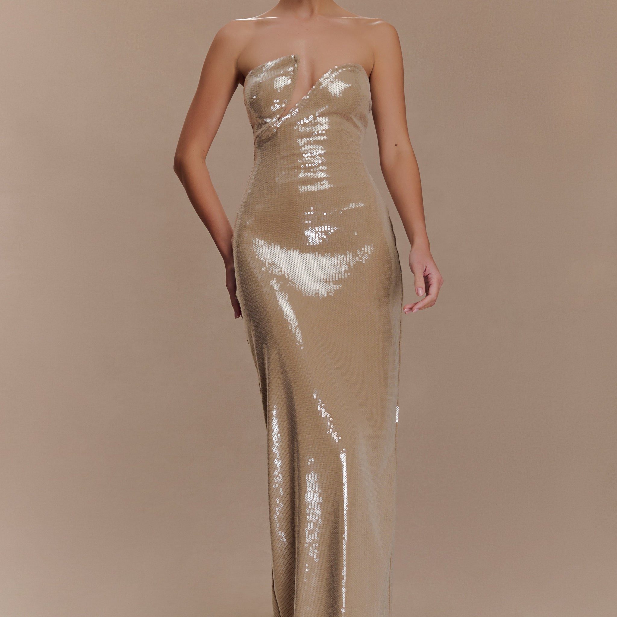 Winston Strapless Sequin Maxi Dress - Taupe